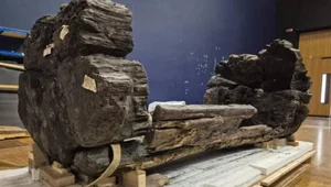 Miniatura: Ta trumna ma 4 tysiące lat. Szokujące...