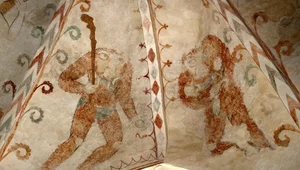 Miniatura: Legendarne istoty z twarzami na piersiach....