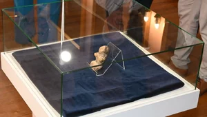 Miniatura: Pomorska Wenus. To unikatowe znalezisko w...
