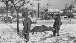 Miniatura: Z nikim się nie liczyli. Tak Niemcy...