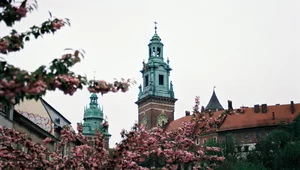 Miniatura: Miejsce wpisane w tkankę polskości....