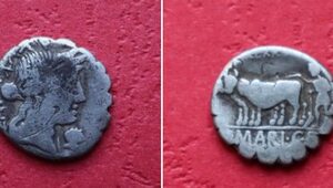 Lubelskie. Rzymska moneta mająca ponad 2 tys. lat znaleziona w sadzie