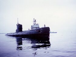 Miniatura: Tajemnica okrętu S-363