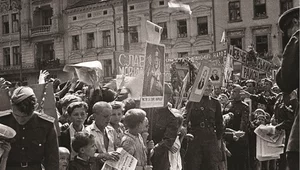 Miniatura: Agonia polskości