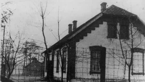 Miniatura: Masakra w cieniu Auschwitz. Kobiety były...
