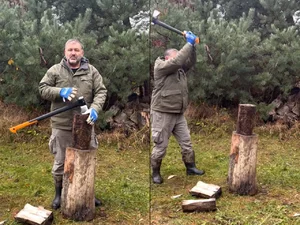 Miniatura: Wariactwa pana Waldemara