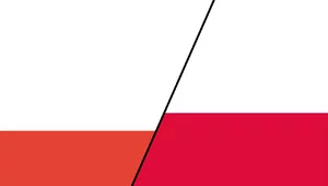 Miniatura: Jak zmieniła się polska flaga. Sto lat...