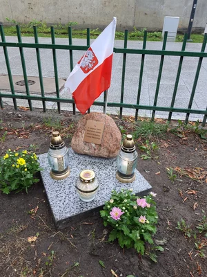 Miniatura: Żołnierz nieznany