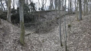 Miniatura: Zaginione miasto w środku puszczy. Polscy...