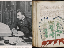 Miniatura: Kod Voynicha