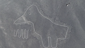 Rysunki z Nazca. Kolejne, sensacyjne odkrycia