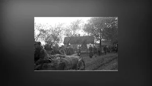 Miniatura: W kleszczach Hitlera i Stalina