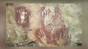 Miniatura: Najstarsza sztuka naskalna świata....