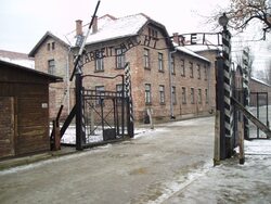 Miniatura: Prostytutki w Auschwitz