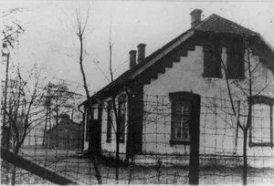 Miniatura: Masakra w cieniu Auschwitz. Kobiety były...
