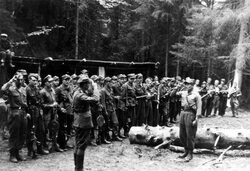 Miniatura: Podhalańska masakra Żydów