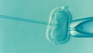 Miniatura: In vitro i degradacja katolickiej kultury
