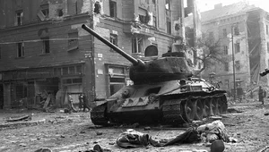 Miniatura: Zdeptana rewolucja. Jeszcze jedno...