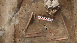 Miniatura: Z nożem pod szyją. Bardzo nietypowy...