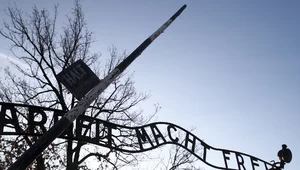 Miniatura: Ucieczka z Auschwitz była możliwa. Tylko...