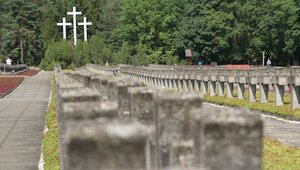 Miniatura: Rzeź szczegółowo zaplanowali. Niemcy...