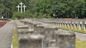 Miniatura: Rzeź szczegółowo zaplanowali. Niemcy...