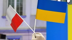 Miniatura: Order Virtuti Militari do kupienia na...