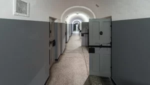 Miniatura: Zasadzka na kata Pawiaka. Udana akcja...